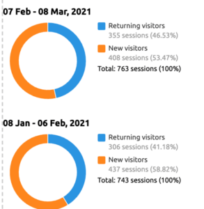 SEO growth results